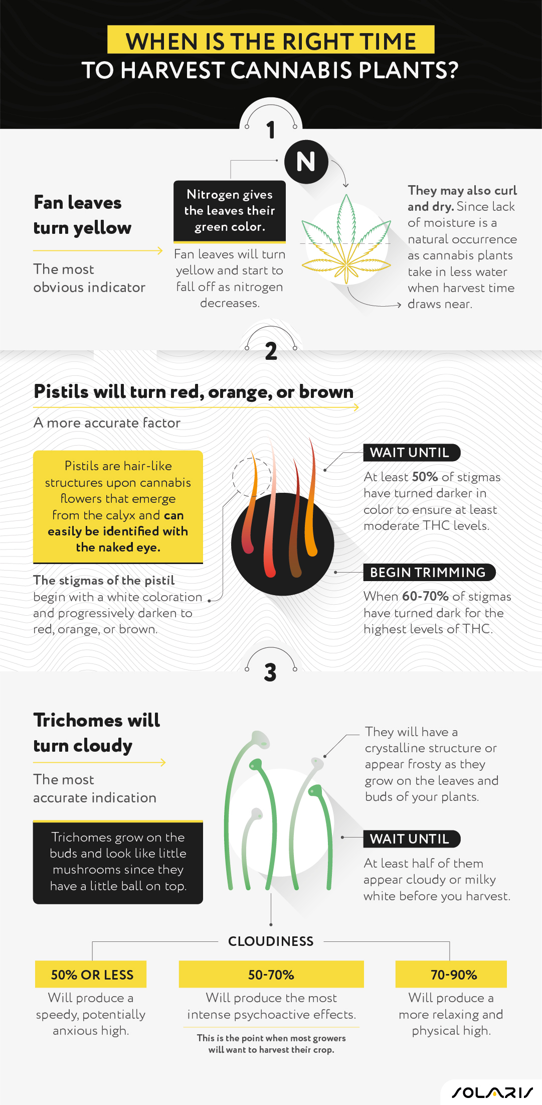 When is the right time to harvest cannabis plants?