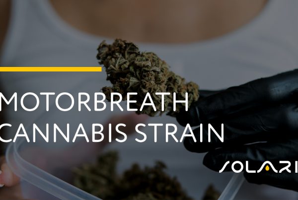 Motorbreath Cannabis Strain