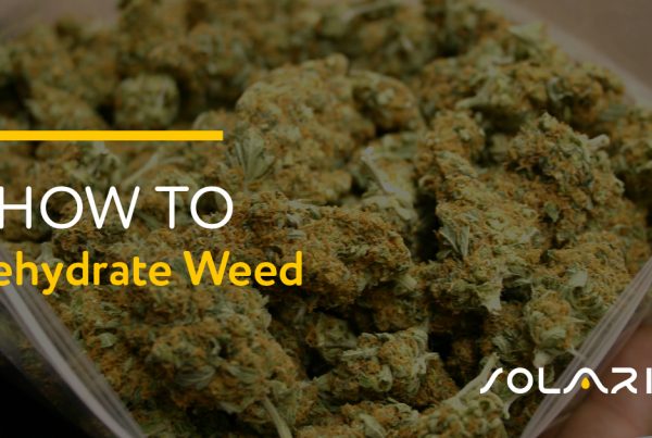How to Rehydrate Weed