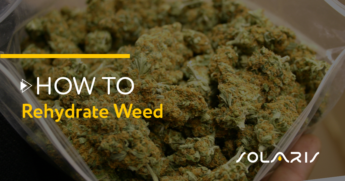 How to Rehydrate Weed - Solaris Farms