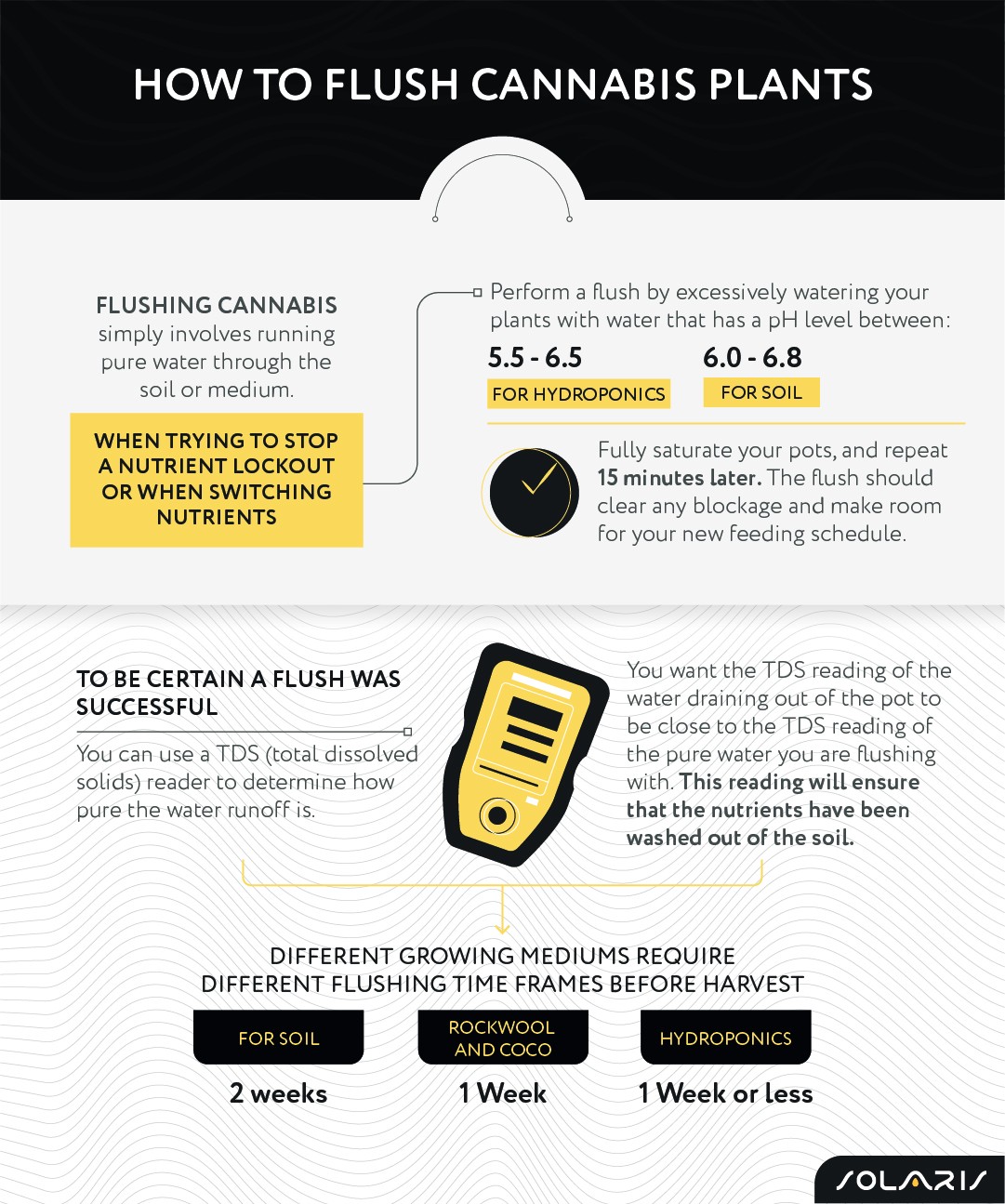 How to flush cannabis plants