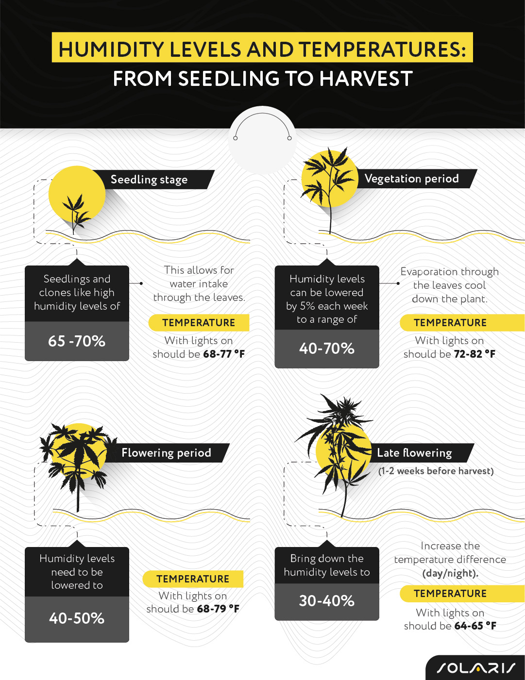 Humidity levels and temperatures: from seedling to harvest