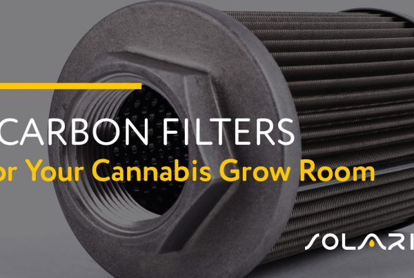 Carbon Filters for Your Cannabis Grow Room