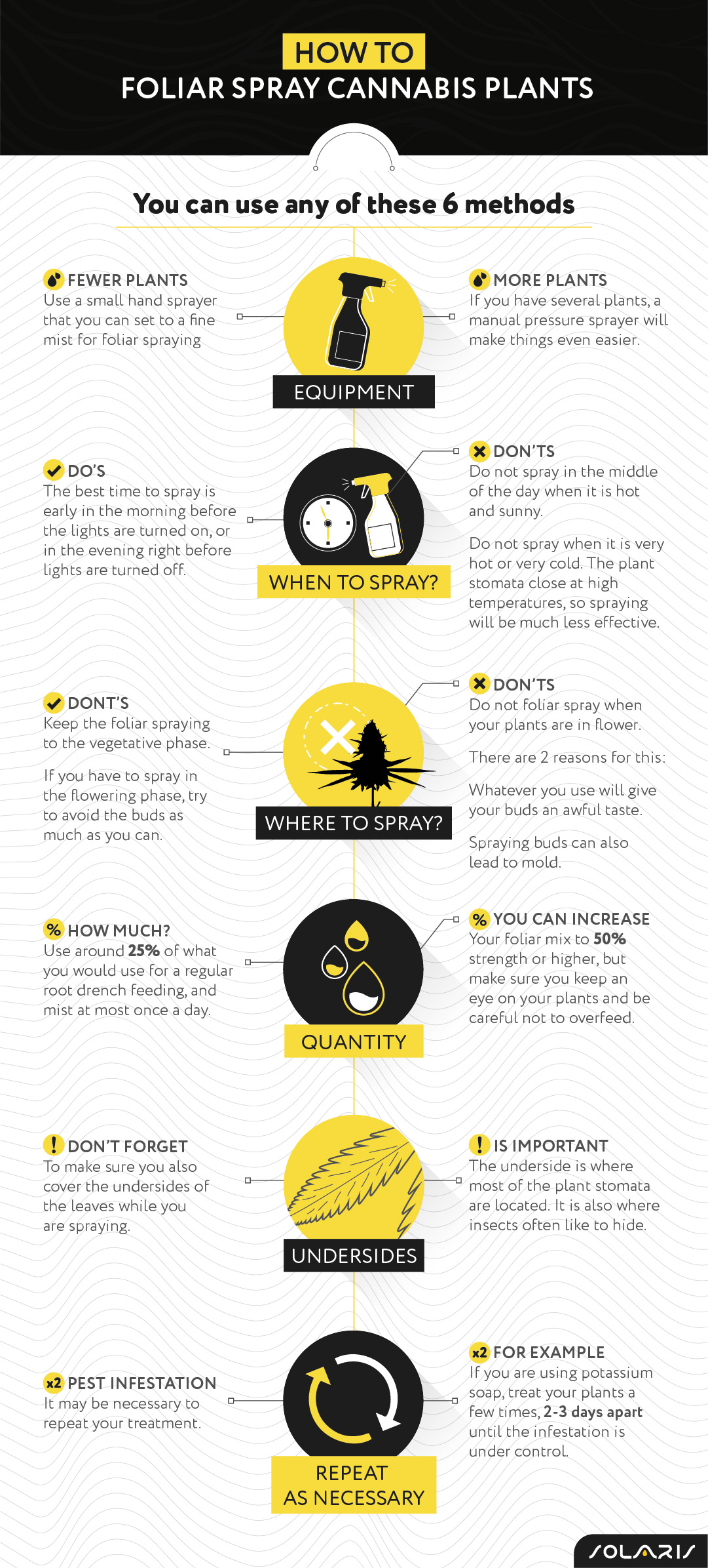 How to foliar spray cannabis plants